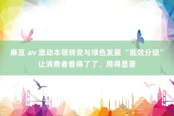 麻豆 av 激动本领转变与绿色发展 “能效分级”让消费者看得了了、用得显著